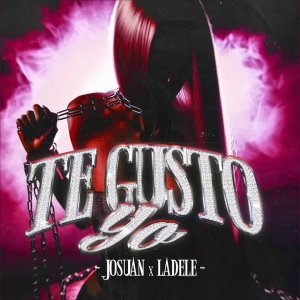 Te Gusto Yo